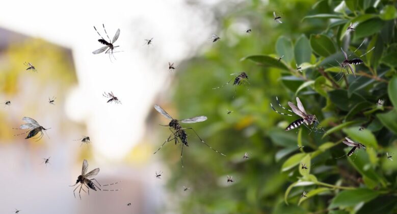 Lâmpada Mata Mosquito da Dengue IZEGUARD PRO IZESHOP